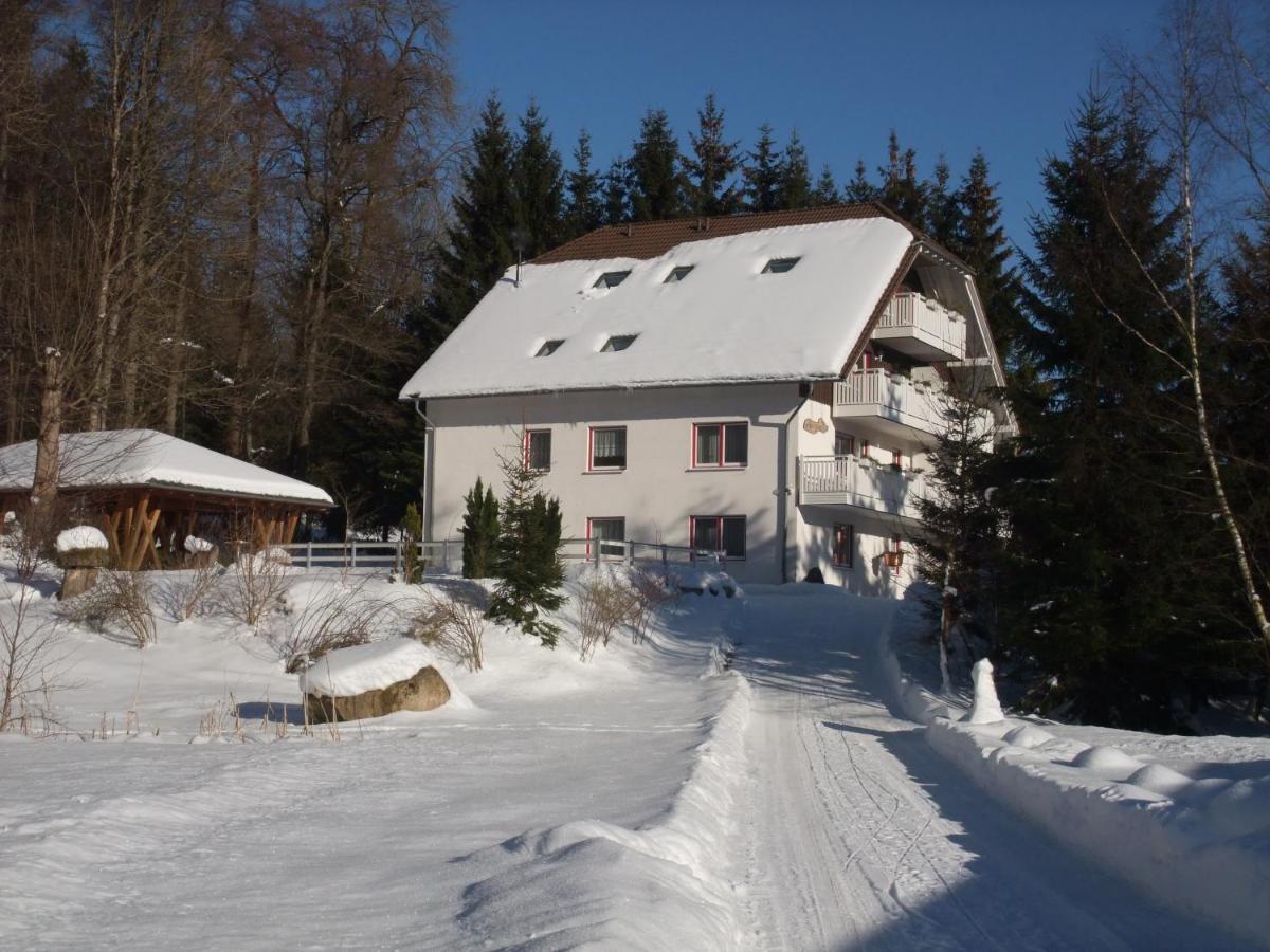 Ferienhaus Hubertus In Elend Mit Balkons Exterior photo